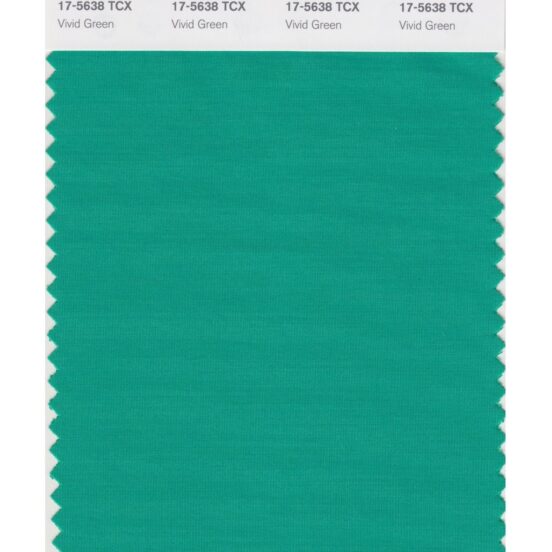 Pantone 17-5638 TCX Swatch Card Vivid Green