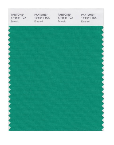 Pantone 17-5641 TCX Swatch Card Emerald