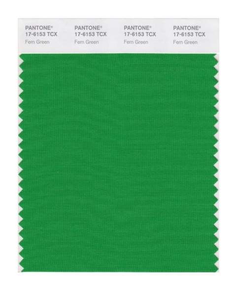 Pantone 17-6153 TCX Swatch Card Fern Green