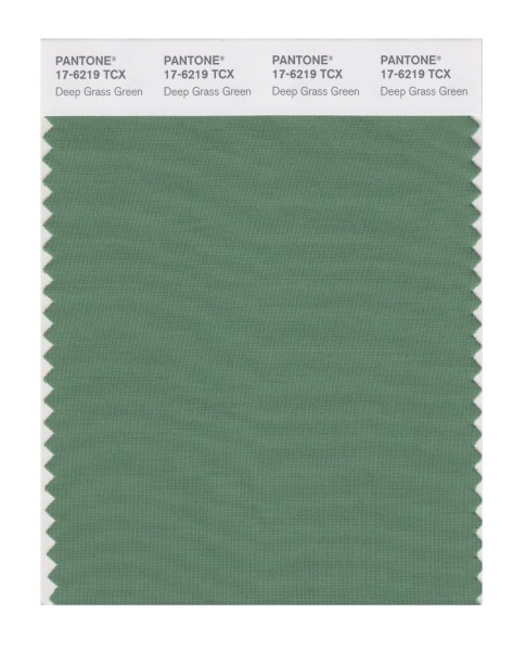 Pantone 17-6219 TCX Swatch Card Deep Grass Green