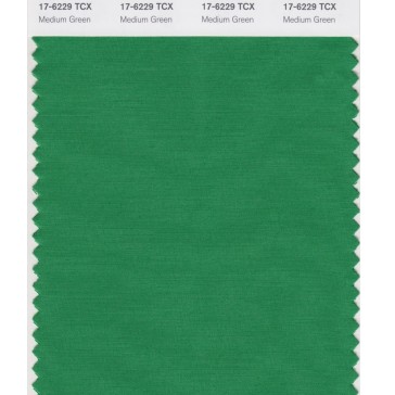 Pantone 17-6229 TCX Swatch Card Medium Green