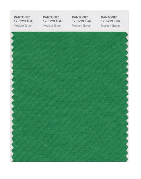 Pantone 17-6229 TCX Swatch Card Medium Green