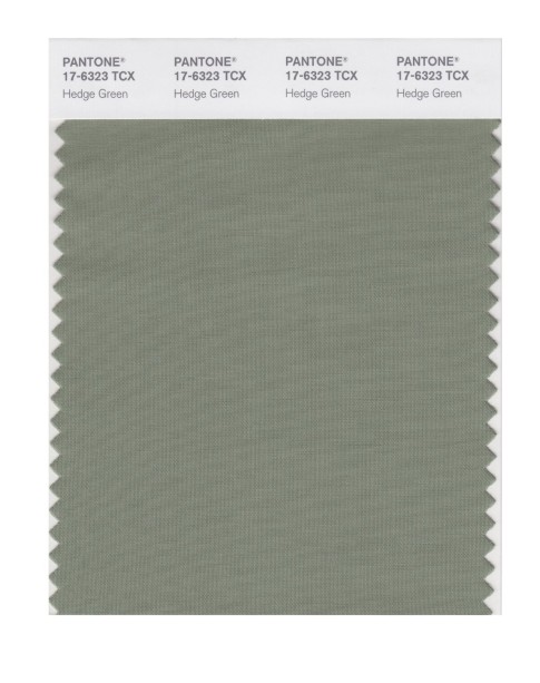 Pantone 17-6323 TCX Swatch Card Hedge Green