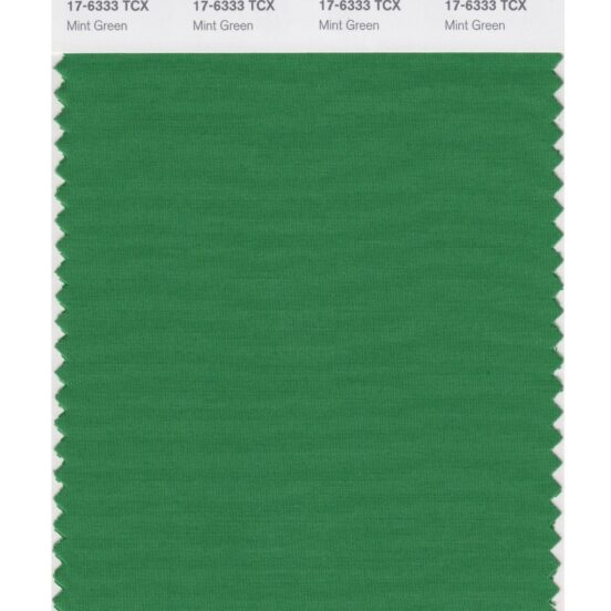 Pantone 17-6333 TCX Swatch Card Mint Green