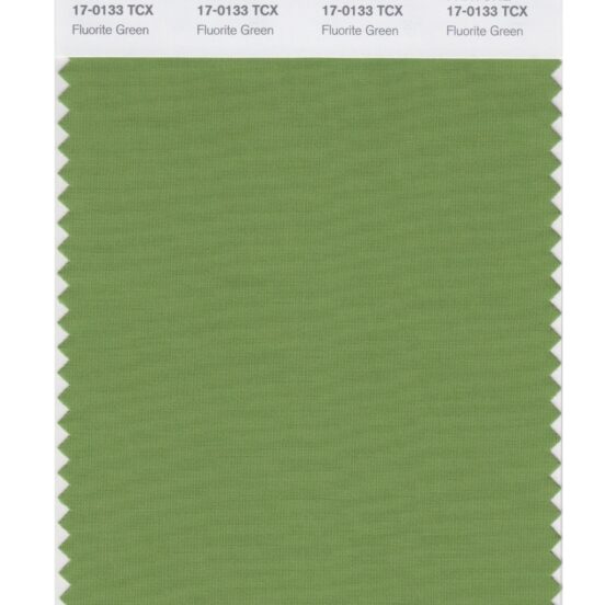 Pantone 17-0133 TCX Swatch Card Fluorite Green