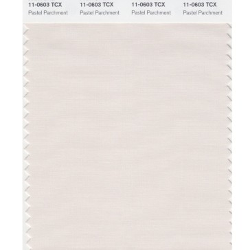 Pantone 11-0603 TCX Swatch Card Pastel Parchment