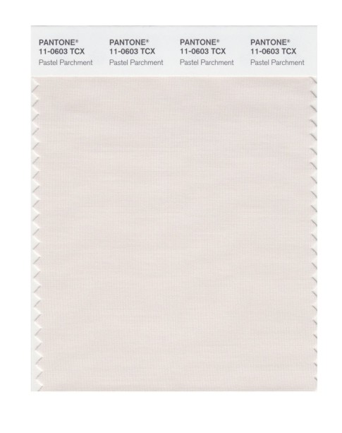 Pantone 11-0603 TCX Swatch Card Pastel Parchment