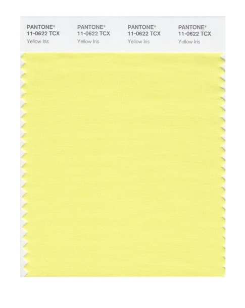 Pantone 11-0622 TCX Swatch Card Yellow Iris