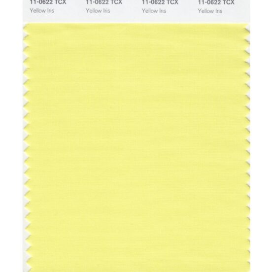 Pantone 11-0622 TCX Swatch Card Yellow Iris