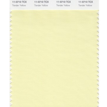 Pantone 11-0710 TCX Swatch Card Tender Yellow