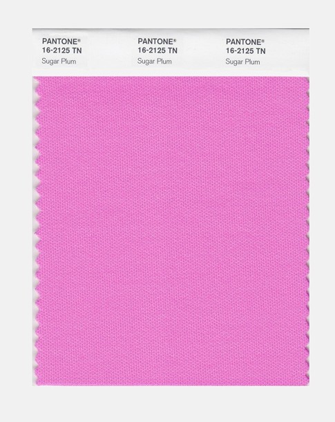 Pantone 16-1650  Diva Pink Nylon Brights Color Swatch Card