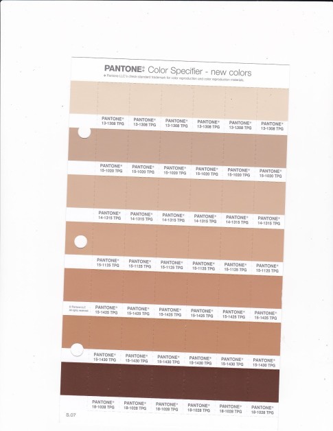 PANTONE 15-1020 TPG Ginger Root Replacement Page (Fashion, Home & Interiors)