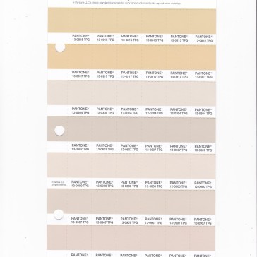 PANTONE 12-0000 TPG White Swan Replacement Page (Fashion, Home & Interiors)