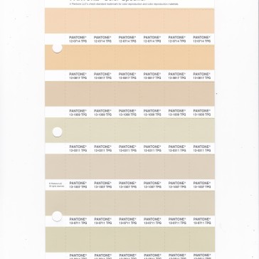 PANTONE 12-0817 TPG Apricot Gelato Replacement Page (Fashion, Home & Interiors)