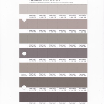 PANTONE14-0002 TPG Pumice Stone Replacement Page (Fashion, Home & Interiors)