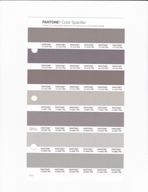 PANTONE14-4500 TPG Moonstruck Replacement Page (Fashion, Home & Interiors)
