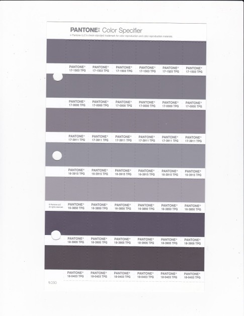 PANTONE 17-1503 TPG Storm Front Replacement Page (Fashion, Home & Interiors)