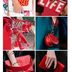 Fashion Focus Womens Bags & Accessories Magazine