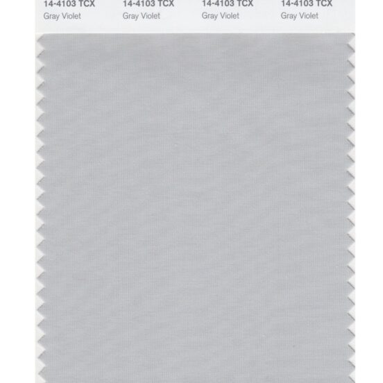 Pantone 14-4103 TCX Swatch Card Gray Violet