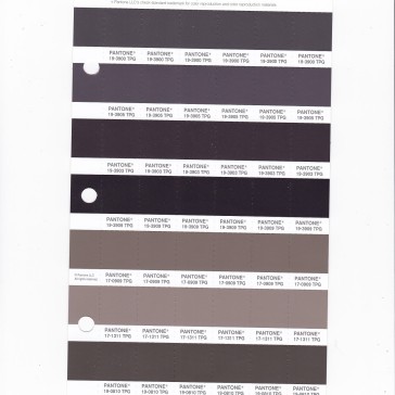 PANTONE 19-3909 TPG Black Bean Replacement Page (Fashion, Home & Interiors)