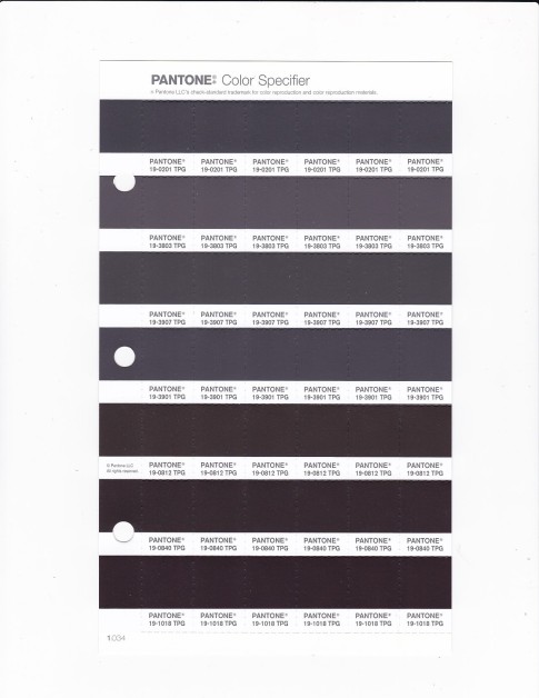 PANTONE 19-3901 TPG Magnet Replacement Page (Fashion, Home & Interiors)