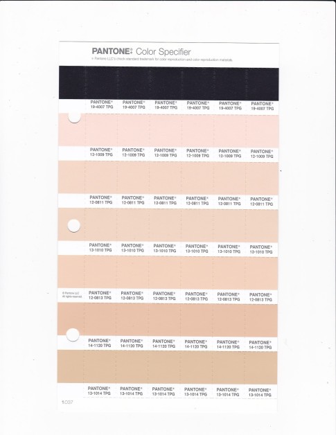 PANTONE 13-1010 TPG Gray Sand Replacement Page (Fashion, Home & Interiors)
