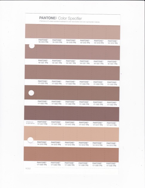 PANTONE 14-1213 TPG Toasted Almond Replacement Page (Fashion, Home & Interiors)