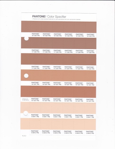 PANTONE 16-1323 TPG Macaroon Replacement Page (Fashion, Home & Interiors)