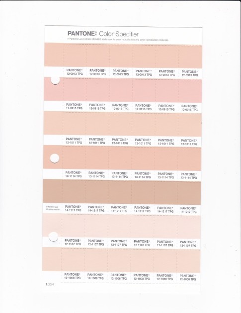 PANTONE 12-0915 TPG Pale Peach Replacement Page (Fashion, Home & Interiors)