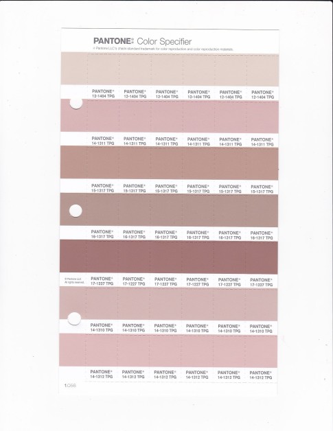 PANTONE 14-1310 TPG Cameo Rose Replacement Page (Fashion, Home & Interiors)
