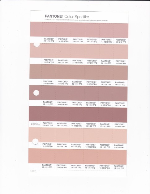 PANTONE 15-1316 TPG Maple Sugar Replacement Page (Fashion, Home & Interiors)