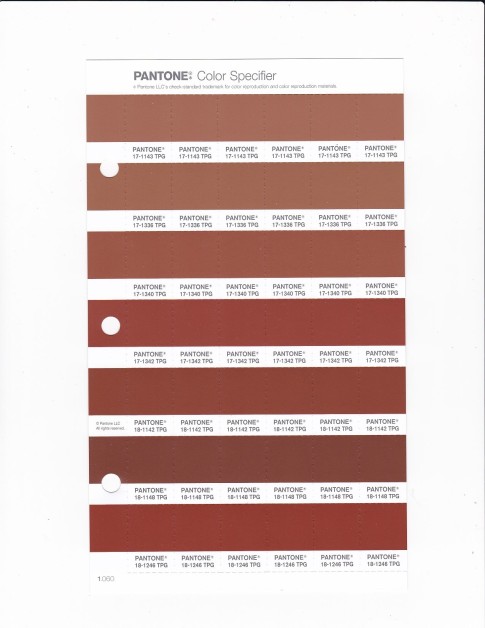 PANTONE 17-1340 TPG Adobe Replacement Page (Fashion, Home & Interiors)