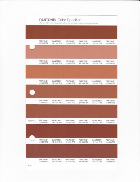 PANTONE 17-1147 TPG Amber Brown Replacement Page (Fashion, Home & Interiors)