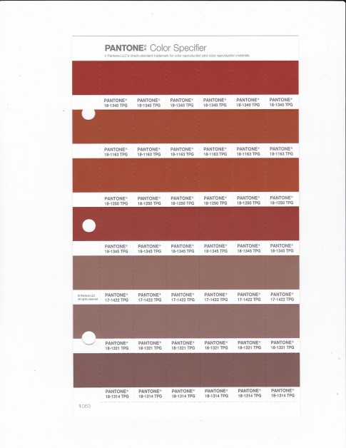 PANTONE 18-1340 TPG Potter's Clay Replacement Page (Fashion, Home & Interiors)