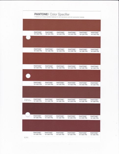 PANTONE 18-1242 TPG Brown Patina Replacement Page (Fashion, Home & Interiors)