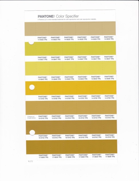 PANTONE 14-0626 TPG Dried Moss Replacement Page (Fashion, Home & Interiors)