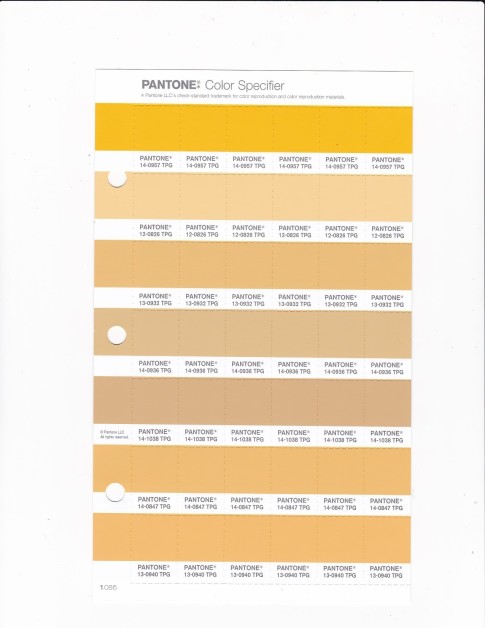 PANTONE 14-0847 TPG Buff Yellow Replacement Page (Fashion, Home & Interiors)