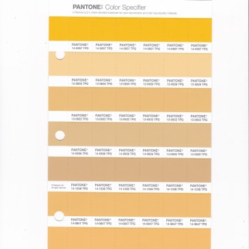 PANTONE13-0940 TPG Sunset Gold Replacement Page (Fashion, Home & Interiors)