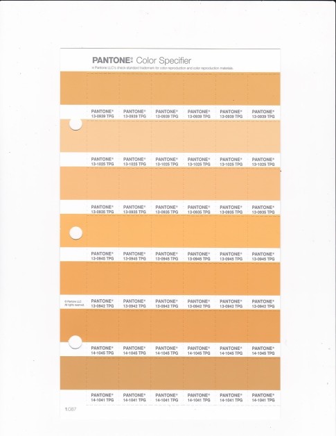 PANTONE 13-0942 TPG Amber Yellow Replacement Page (Fashion, Home & Interiors)
