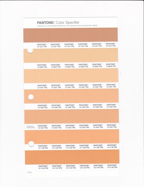PANTONE 14-1128 TPG Buff Orange Replacement Page (Fashion, Home & Interiors)