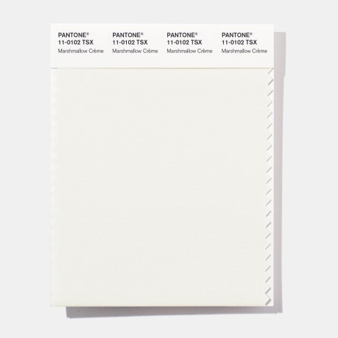 Pantone 11-0102 TSX Marshmallow Polyester Swatch Card