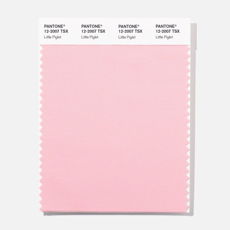 Pantone 12-2007 TSX Little Pigle Polyester Swatch Card