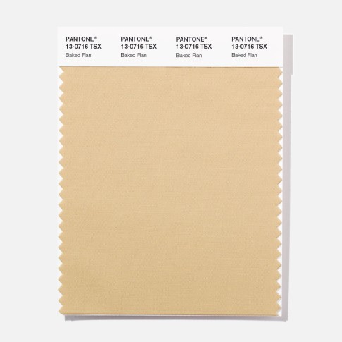 Pantone 13-0716 TSX Baked Fish Polyester Swatch Card