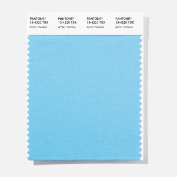 Pantone 13-4220  TSX Arctic Parad Polyester Swatch Card