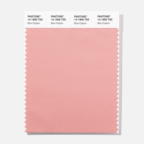 Pantone 14-1906 TSX Boto Dolphin  Polyester Swatch Card