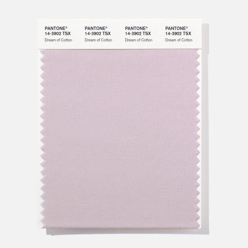 Pantone 14-3902 TSX Dream of Cot Polyester Swatch Card