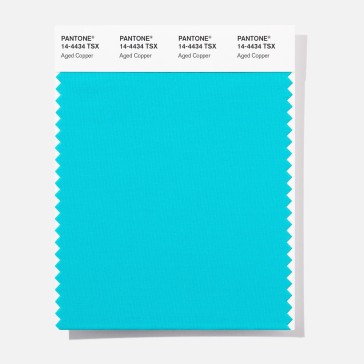 Pantone 14-4434 TSX Aged Copper Polyester Swatch Card