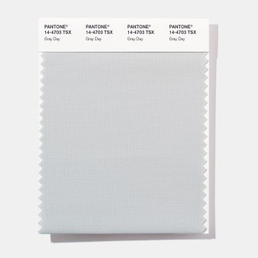 Pantone 14-4703 TSX Gray Day Polyester Swatch Card