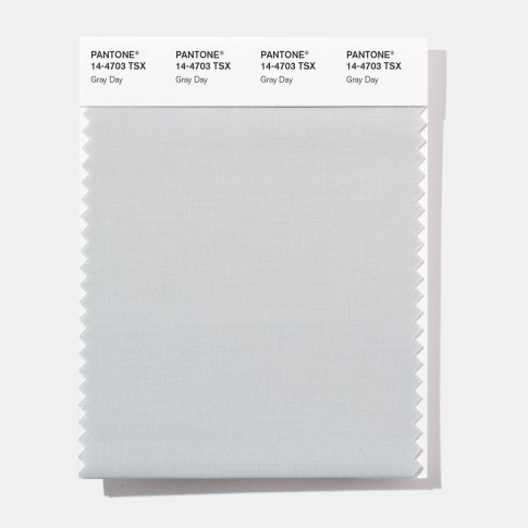 Pantone 14-4703 TSX Gray Day Polyester Swatch Card