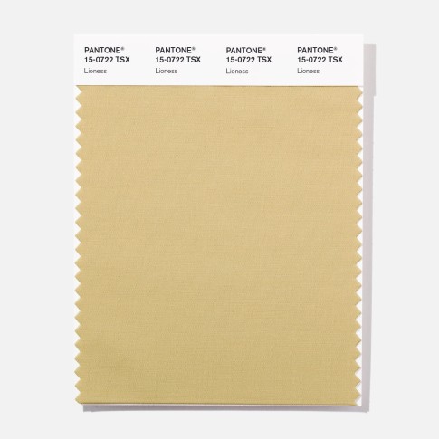 Pantone 15-0722 TSX Lioness Polyester Swatch Card